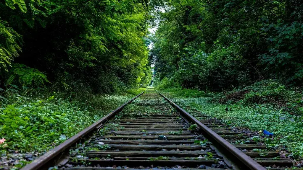 BNR: Rezervele valutare au scăzut cu peste 550 milioane euro în iunie