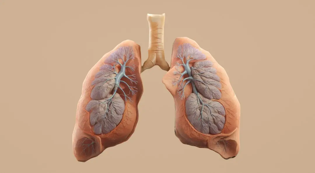 Dobânda pe termen lung a crescut pentru a treia lună consecutivă în septembrie